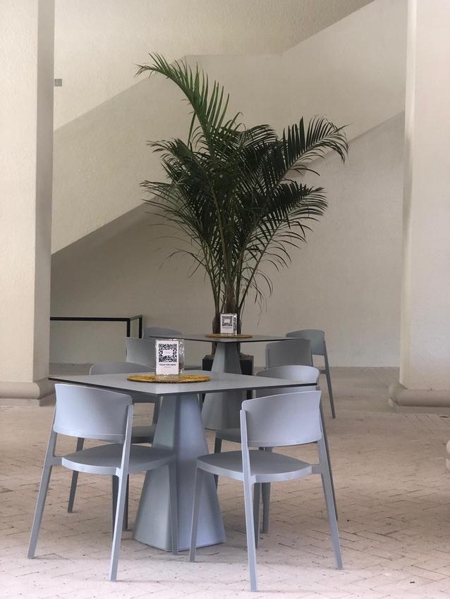 Tarrison - Abuela Pale Blue Arm Chair - AS29398A