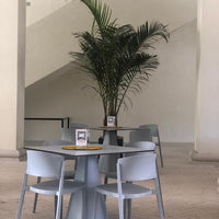 Tarrison - Abuela Pale Blue Arm Chair - AS29398A