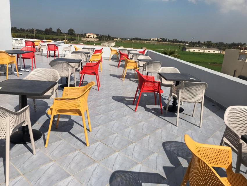 Tarrison - Minush Lobster Red Arm Chair - AS22020A