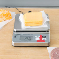 Taylor - 10 lb Stainless Steel Waterproof Digital Portion Control Scale - TE10SSW