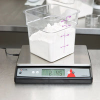 Taylor - 22 lbs Silver Digital Portion Control Scale with an Oversized Platform - TE22OS
