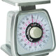 Taylor - 32 Oz Receiving Scales Rotating Dial With Dash Pot - TS32D