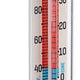 Taylor - Refrigerator/Freezer Tube Thermometer - 3509FS
