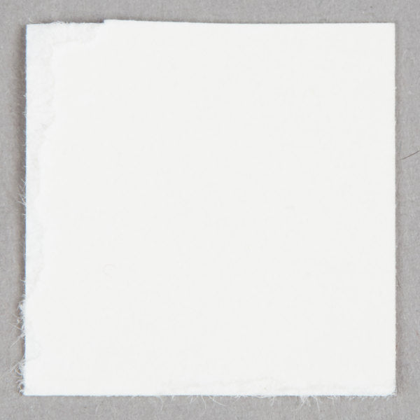 Taylor - TempRite® Dishwasher Temperature Test Labels, Pack of 12 - 8750