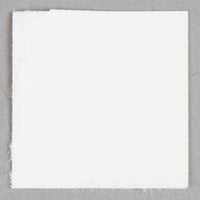 Taylor - TempRite® Dishwasher Temperature Test Labels, Pack of 12 - 8750