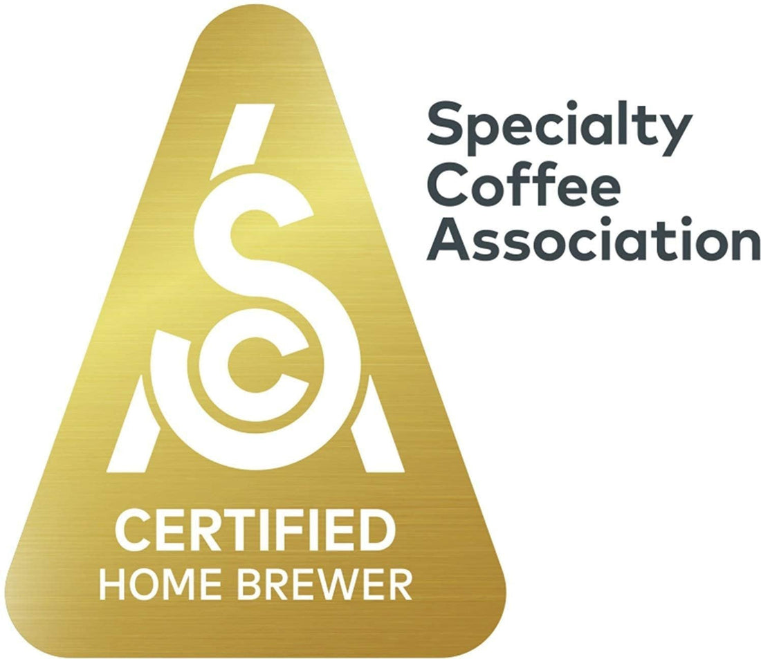 Technivorm - Moccamaster KB 40 Oz Brushed Silver Coffee Maker with Glass Carafe - 59691