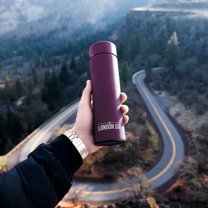 The London Sip - 16 Ounce Purple Tea Infuser Bottle - TB16-P
