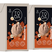 TooA - Hazelnut Ice Cream, 1 L (Pack of 2) - MX-DA-0203-1L