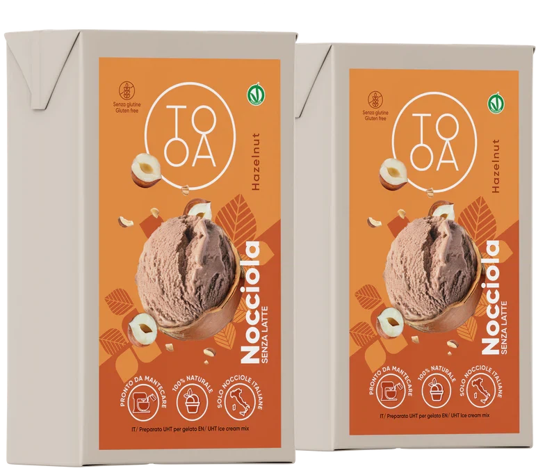 TooA - Hazelnut Vegan Ice Cream, 1 L (Pack of 2) - MX-VE-0208-1L