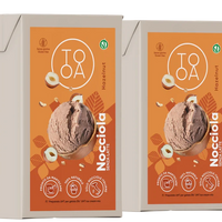 TooA - Hazelnut Vegan Ice Cream, 1 L (Pack of 2) - MX-VE-0208-1L
