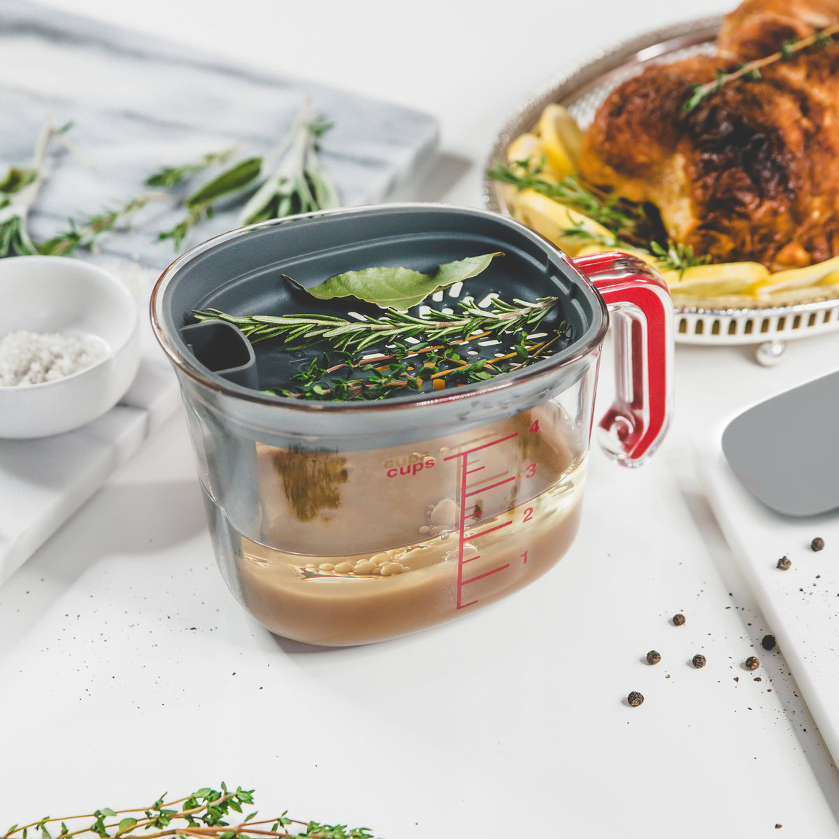 Tovolo - Charcoal Gravy Strainer & Fat Separator - TV26028-200