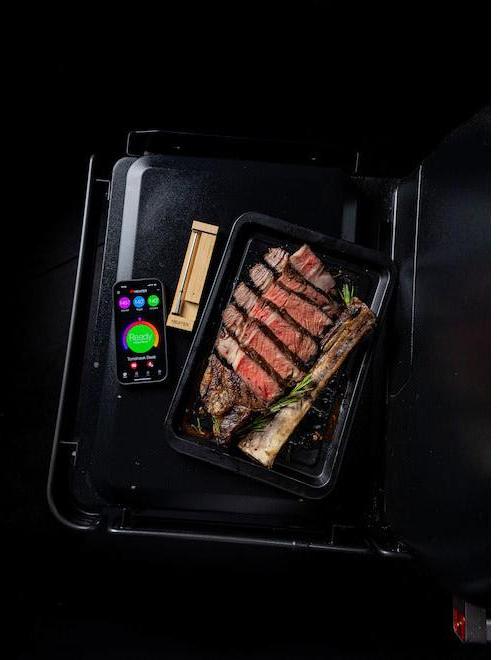 Traeger - Meater Pro Wireless Meat Thermometer - RTC-MT-MP201