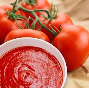 Trento - Manual Tomato Squeezer with Stainless Steel Bowl - 21105