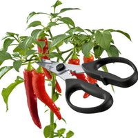 Triangle - Kitchen & Herb Black Shears - TR50-478-09