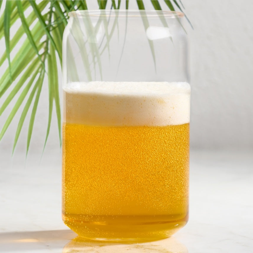 Trudeau - 16 oz Acrylic Can Beer Glasses, Pack of 4 - 490816475