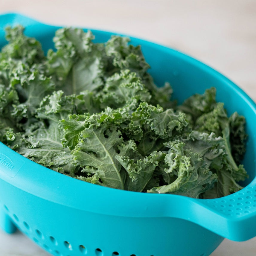 Trudeau - Tropical Blue Polypropylene Colander - 05117098