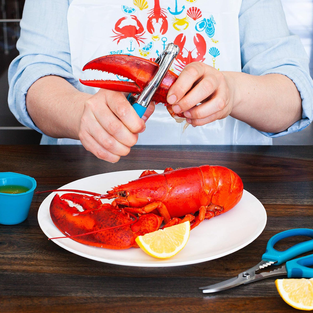 Trudeau - Tropical Blue Seafood Cracker - 05115072
