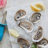 Trudeau - Tropical Blue Stainless Steel Oyster Knife - 05115074