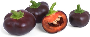 Veritable - Organic Mini Chocolate Bell Pepper Lingot - 7351062
