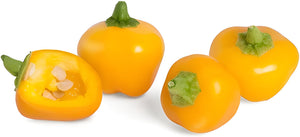 Veritable - Organic Mini Yellow Bell Pepper Lingot - 7351061