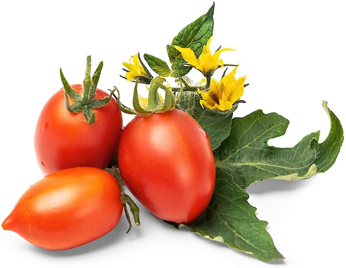 Veritable - Red Cherry Tomato Lingot - 7351118 - DISCONTINUED