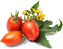 Veritable - Red Cherry Tomato Lingot - 7351118 - DISCONTINUED