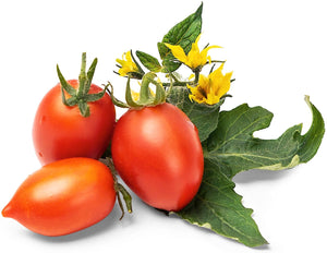 Veritable - Red Cherry Tomato Lingot - 7351118