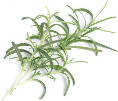 Veritable - Rosemary Lingot - 7351055 - DISCONTINUED