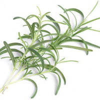 Veritable - Rosemary Lingot - 7351055 - DISCONTINUED