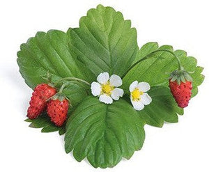 Veritable - Wild Red Strawberry Lingot - 7351136