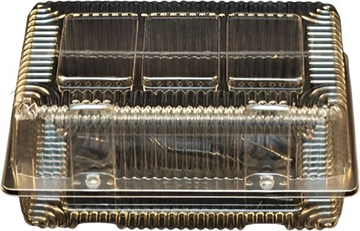 Vespa - 10.6" x 7.2" x 5" Plastic Jumbo Pack Hinged Container 250/Cs - VEL-032 (Special Order Item)