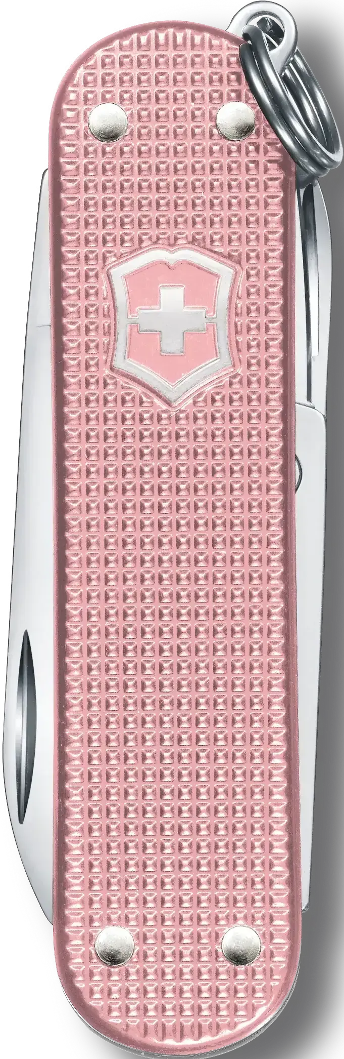 Victorinox - Classic SD Alox Cotton Candy Pink Swiss Army Knife, CC Box Packing - 0.6221.252G