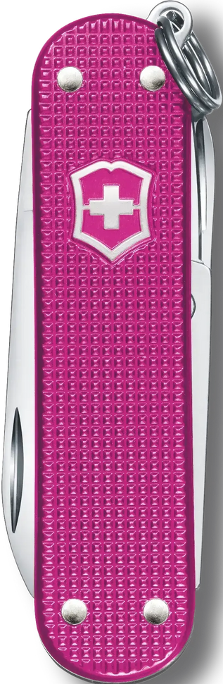 Victorinox - Classic SD Alox Flamingo Party Pink Swiss Army Knife, CC Box Packing - 0.6221.251G