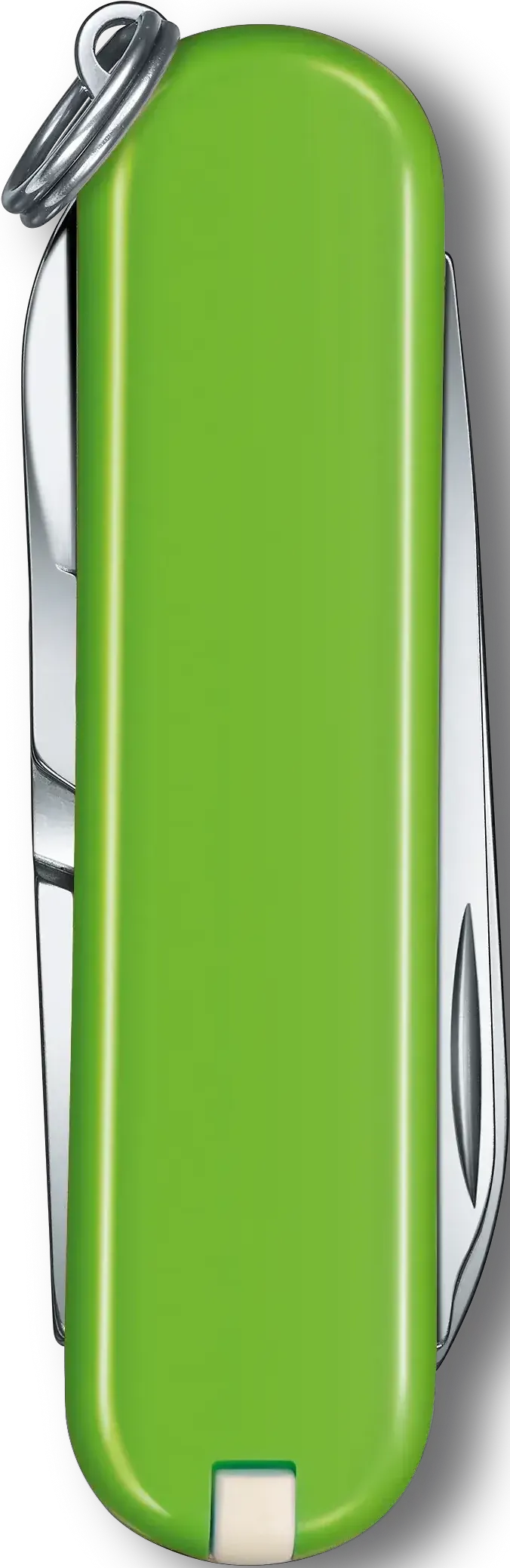 Victorinox - Classic SD Smashed Avocado Green Small Pocket Knife, CC Box Packing - 0.6223.43G