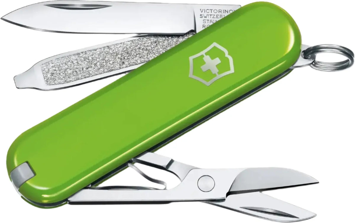 Victorinox - Classic SD Smashed Avocado Green Small Pocket Knife, CC Box Packing - 0.6223.43G