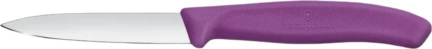 Victorinox - Purple 3.25" Swiss Classic Straight Blade Paring Knife - 6.7605.C1