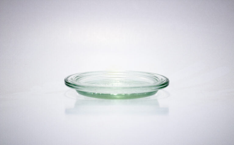 Weck Jars - 100 mm Large Glass Lid #100 - WK100-GL