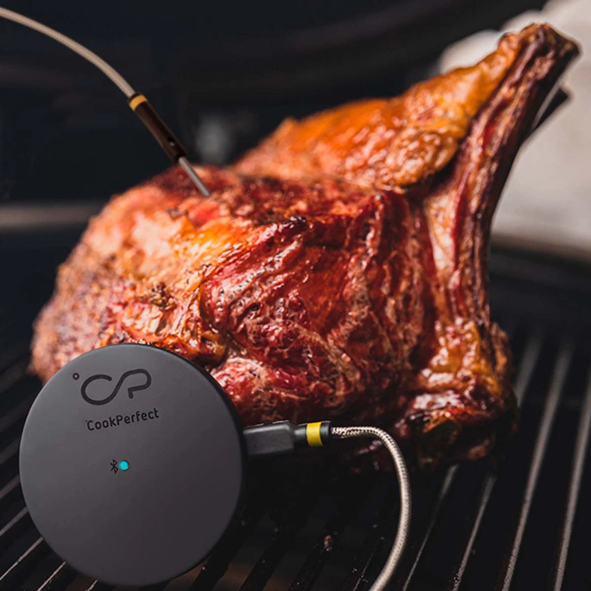 Witt - CookPerfect Comfort Single Meat Thermometer - WI61650011