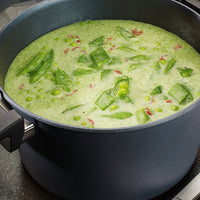 Woll - Diamond Plus 8 QT Concept Induction Stock Pot with Lid & Silicone Insert - W128-1CPI