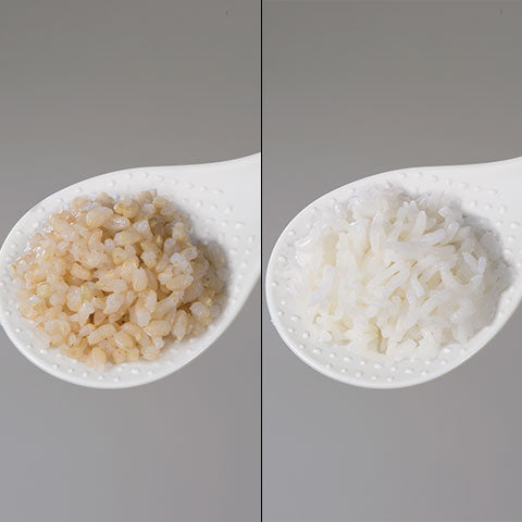 Zojirushi - 0.54 L Microcomputer Rice Cooker & Warmer with Reheat Function - NS-LHC05