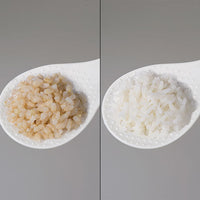 Zojirushi - 0.54 L Microcomputer Rice Cooker & Warmer with Reheat Function - NS-LHC05