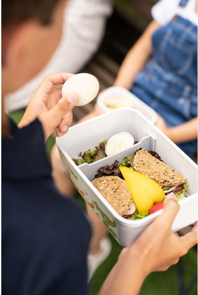 Zwilling - Fresh & Save 1.7 L, Dinos Large Plastic Vacuum Lunch Box - 36814-502 - DISCONTINUED