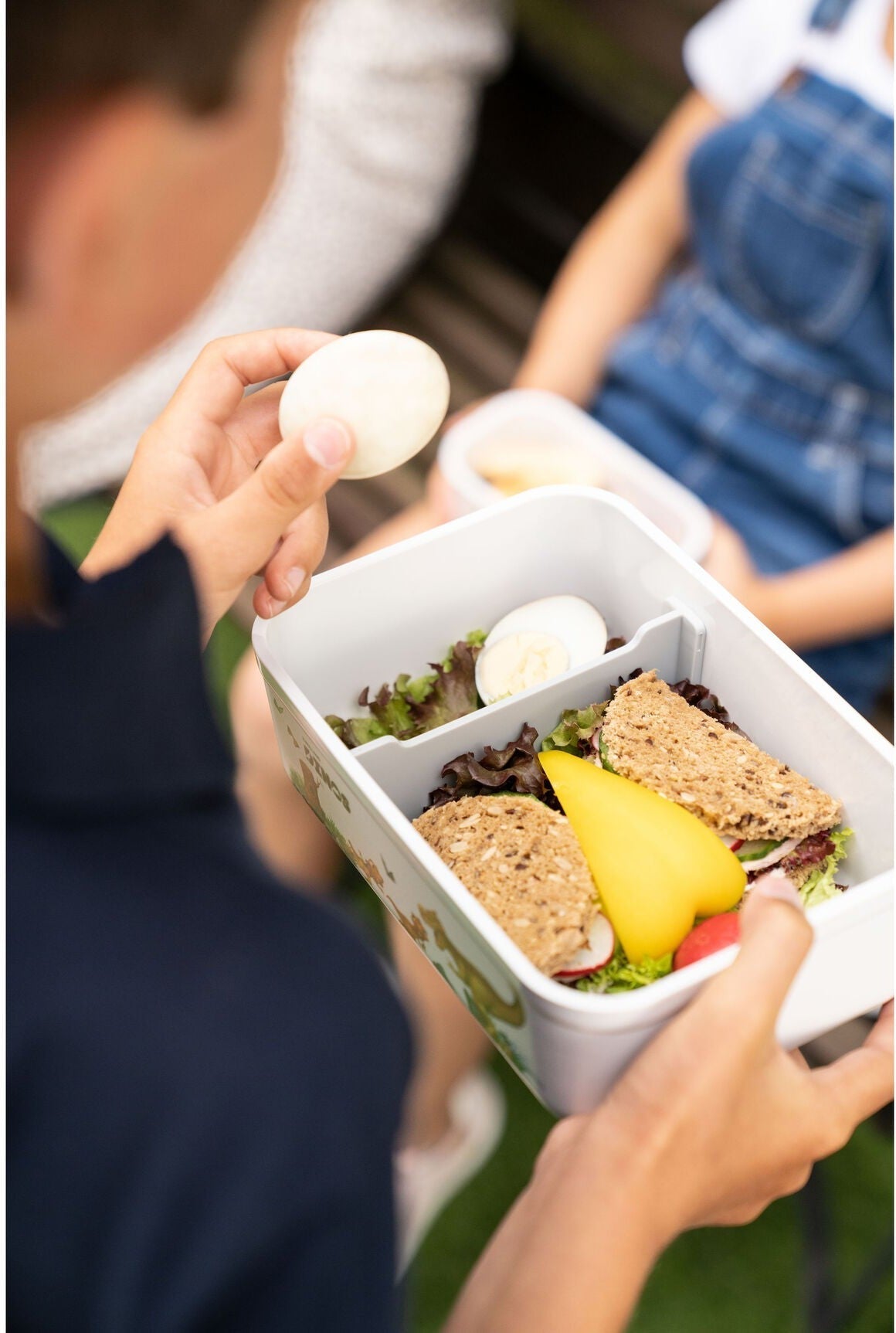 Zwilling - Fresh & Save 1.7 L, Dinos Large Plastic Vacuum Lunch Box - 36814-502 - DISCONTINUED