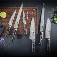 Zwilling - TAKUMI 8" Bread Knife - 30556-231