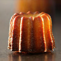 de Buyer - Elastomoule Silicone 20 Mini-Bordelais Fluted Cake Mold - 1856.21D