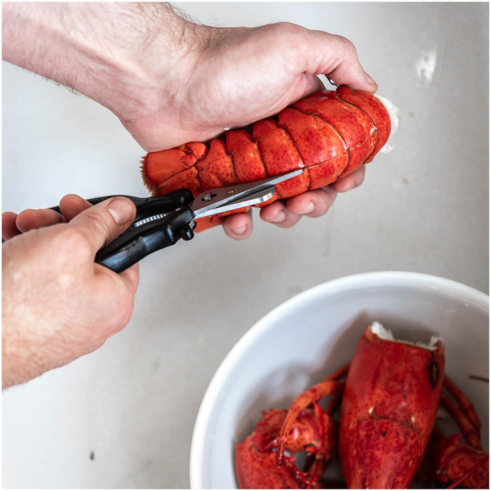 de Buyer - Seafood Shears with Stainless Steel Blades - 4685.00