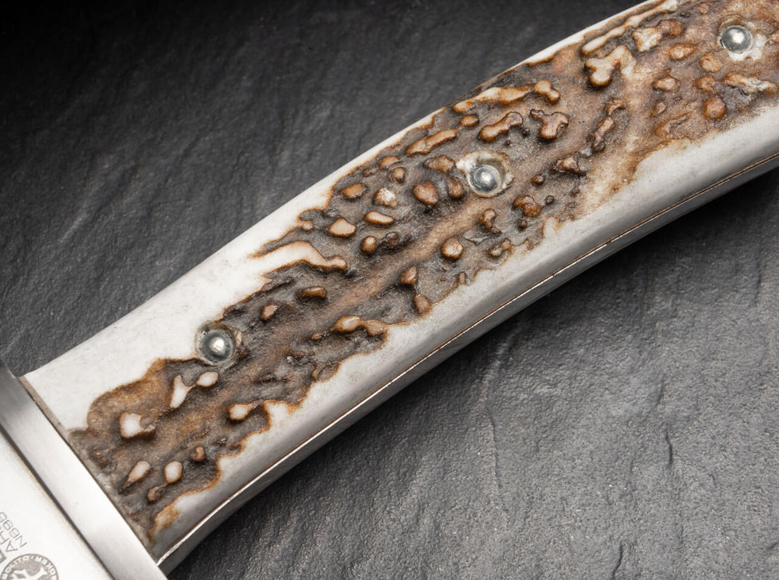 Boker - Arbolito Esculta Stag Fixed Blade Knife - 02BA593H