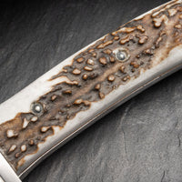 Boker - Arbolito Esculta Stag Fixed Blade Knife - 02BA593H