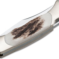 Boker - Boy Scout Stag Pocket Knife - 112403