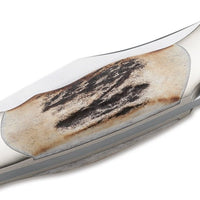 Boker - Junior Scout Stag Pocket Knife - 111910